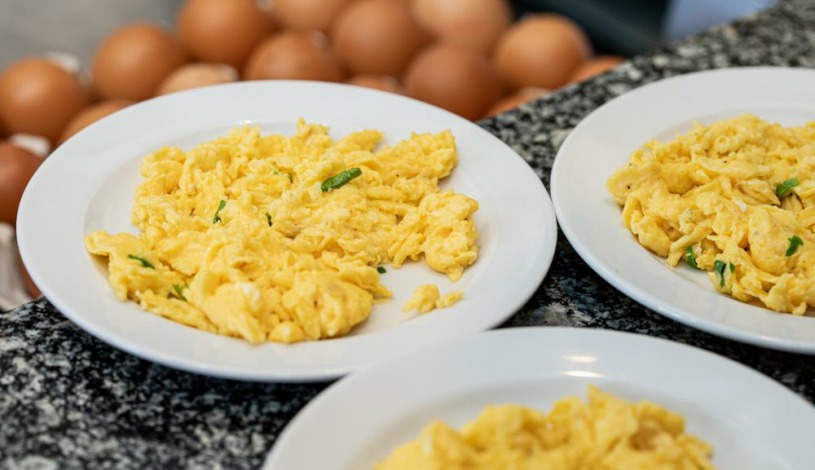 VILLA BASILEIA Riverside Karlovy Vary